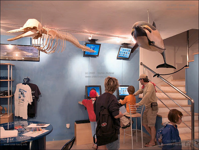 in der Ausstellung des Adriatic Dolphin Projects im Hafen von Veli Losinj in Kroatien: vor allem für die jüngeren Gäste interessant - Computerterminals, an denen spielerisch und multimedial aufbereitet Informationen über die Delphine im Gebiet um die Inseln Cres und Losinj abgerufen werden können